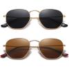 2 Pack-gold Gray+brown Lens