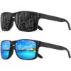 2pack-black +Blue Mirror Lens