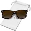 A1 Tortoise Frame / Brown Gradient Lens