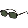 Tortoise/Dark Green