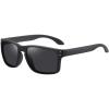 imagePolarized Sunglasses for Men Women Classic Sports Driving Sun Glasses UV400 ProtectionTr Black Framegray Lens