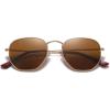 imageMEETSUN Polarized Hexagon Sunglasses for Women Men Polygon Square Sun Glasses UV400 Protection Metal FrameGold Framebrown Lens