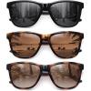 3 Pack Black + Tortoise + Brown Tortoise