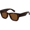 C5 Tortoiseshell Frame-brown Lenses